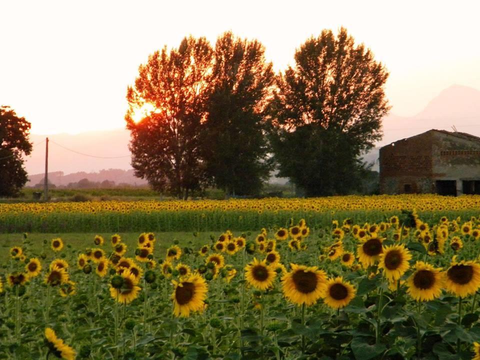 Agriturismo Settepassi Tuscany Ponte Buggianese Exterior foto